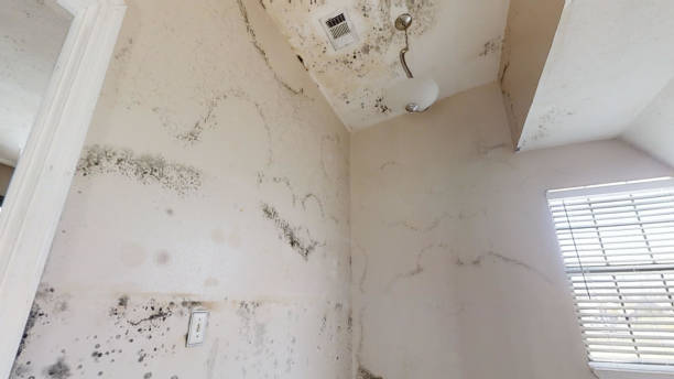 Best HVAC Mold Inspection and Cleaning  in Atlantic Highlands, NJ