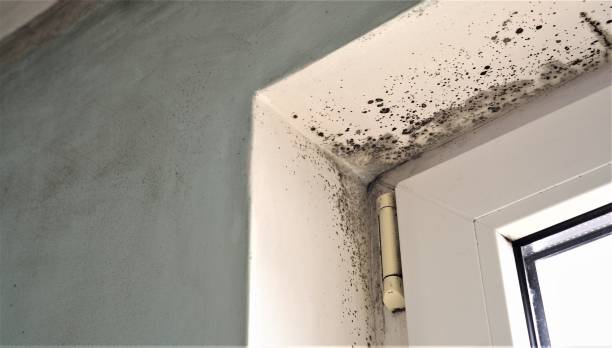 Best Residential Mold Inspection & Testing  in Atlantic Highlands, NJ