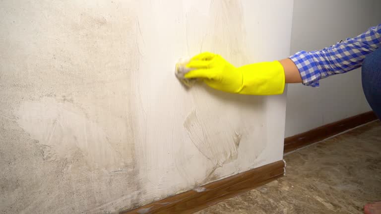 Best Dehumidification Services  in Atlantic Highlands, NJ
