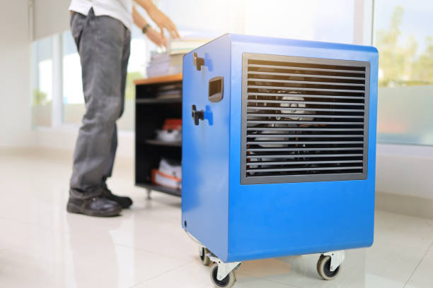 Best Industrial Mold Remediation  in Atlantic Highlands, NJ