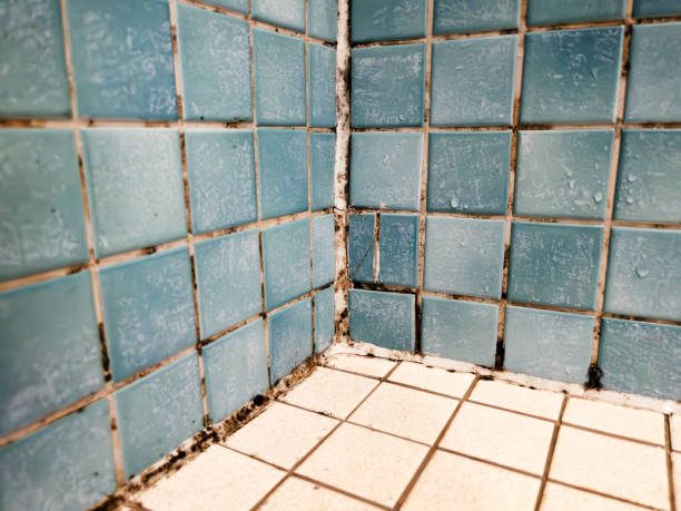 Best Airborne Mold Testing  in Atlantic Highlands, NJ
