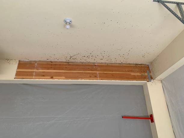 Asbestos and Lead Testing During Mold Inspection in Atlantic Highlands, NJ