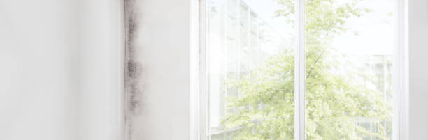 Atlantic Highlands, NJ Mold Removal Company