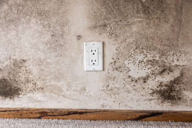 Best Indoor Air Quality Assessment  in Atlantic Highlands, NJ