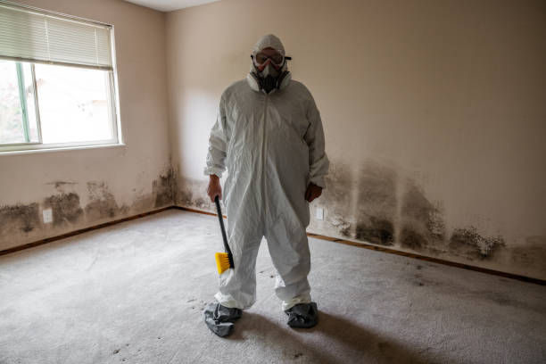 Mold Remediation for Rental Properties in Atlantic Highlands, NJ